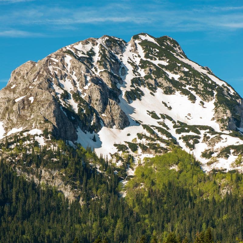 Međed (kružna)
