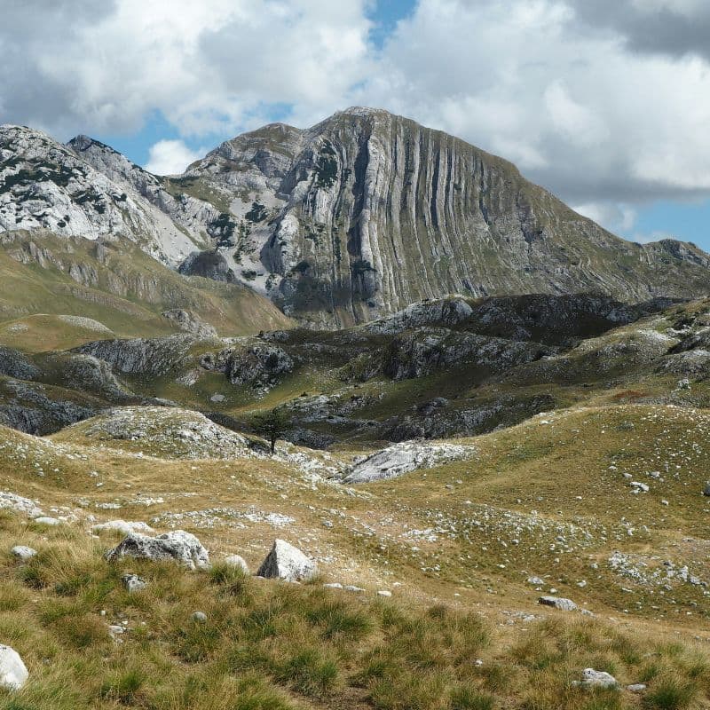 Raklje (kružna)