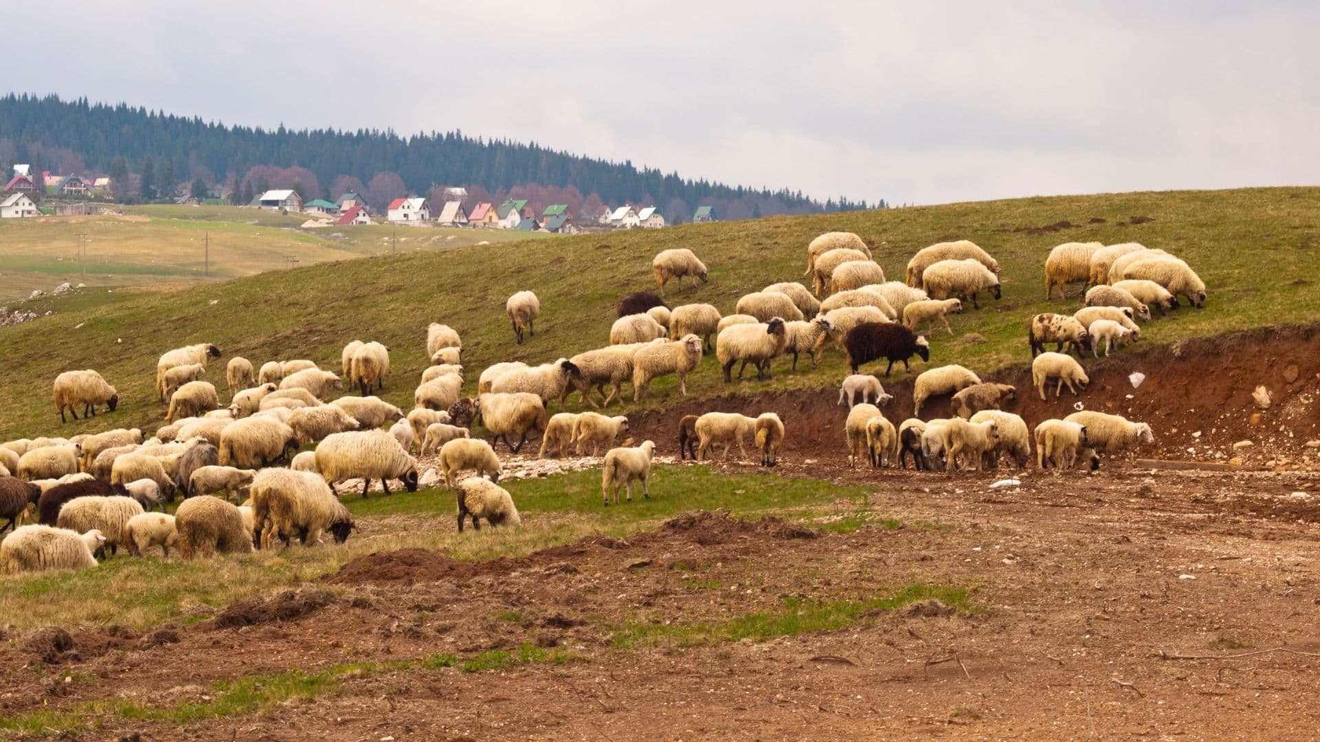 Durmitor 12