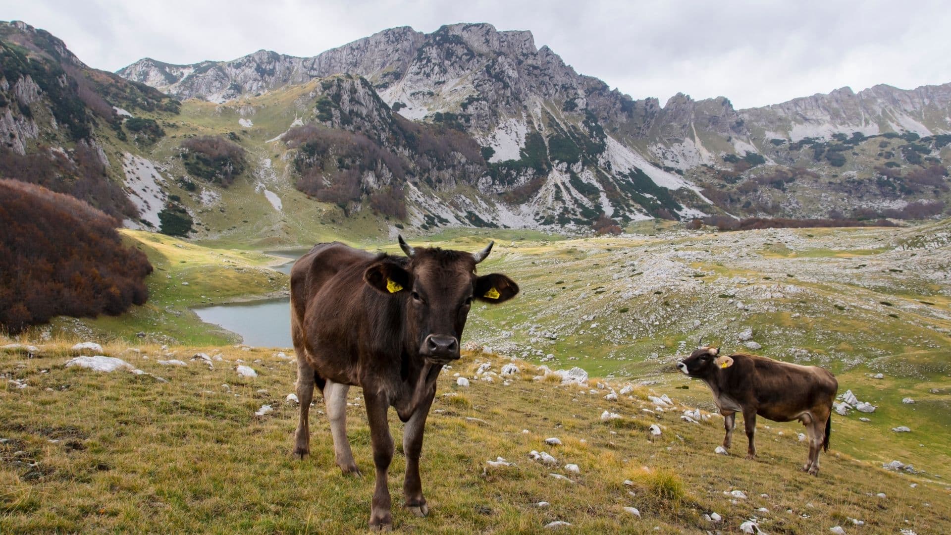 Durmitor 22