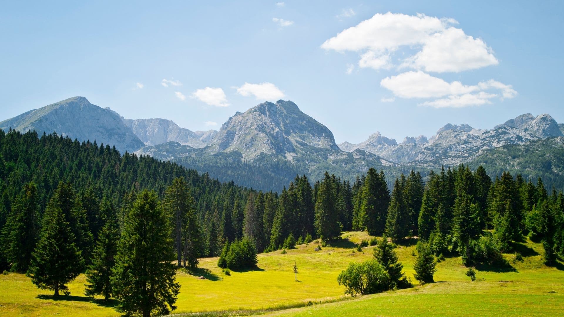 Durmitor 34