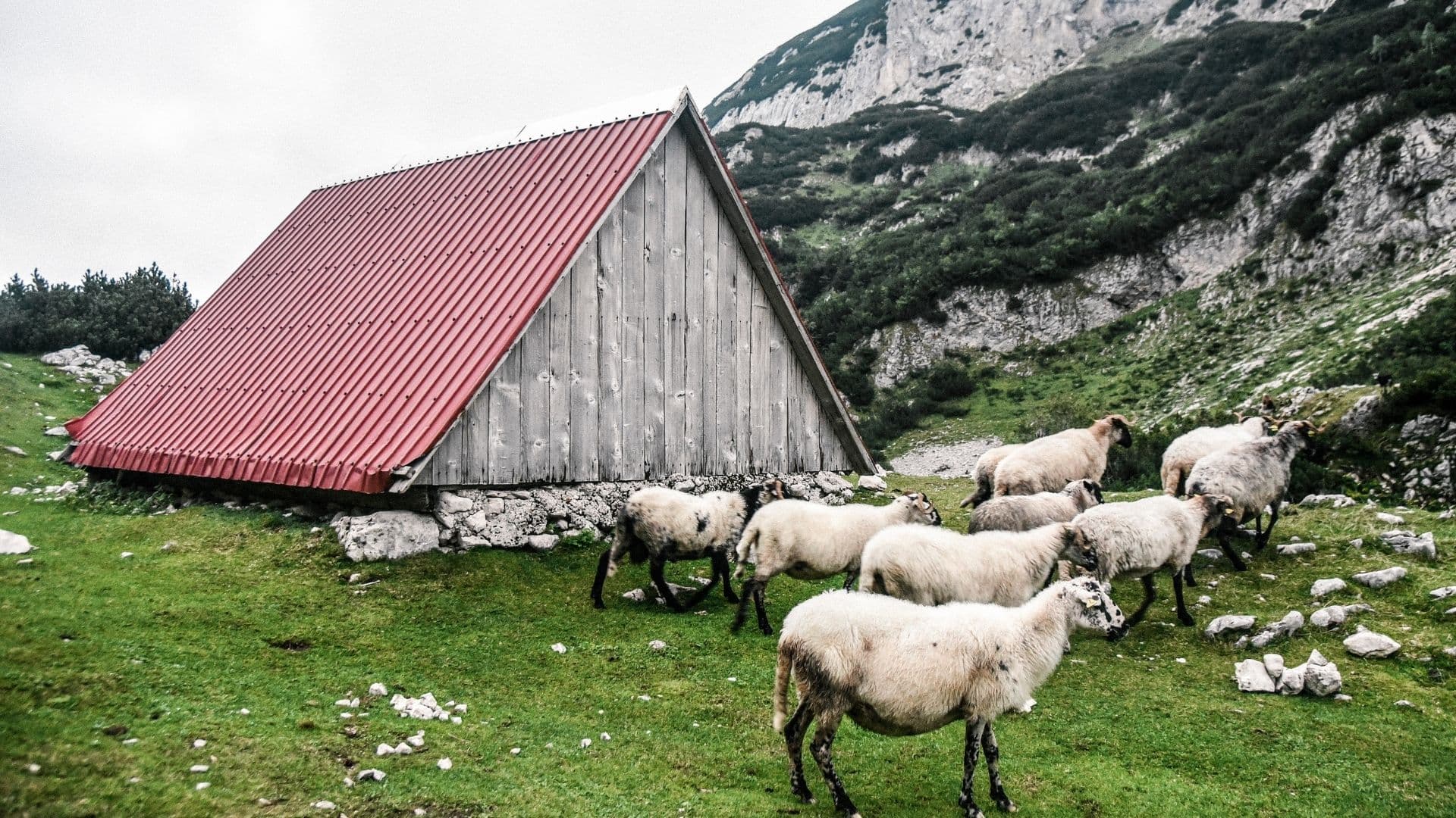 Durmitor 42