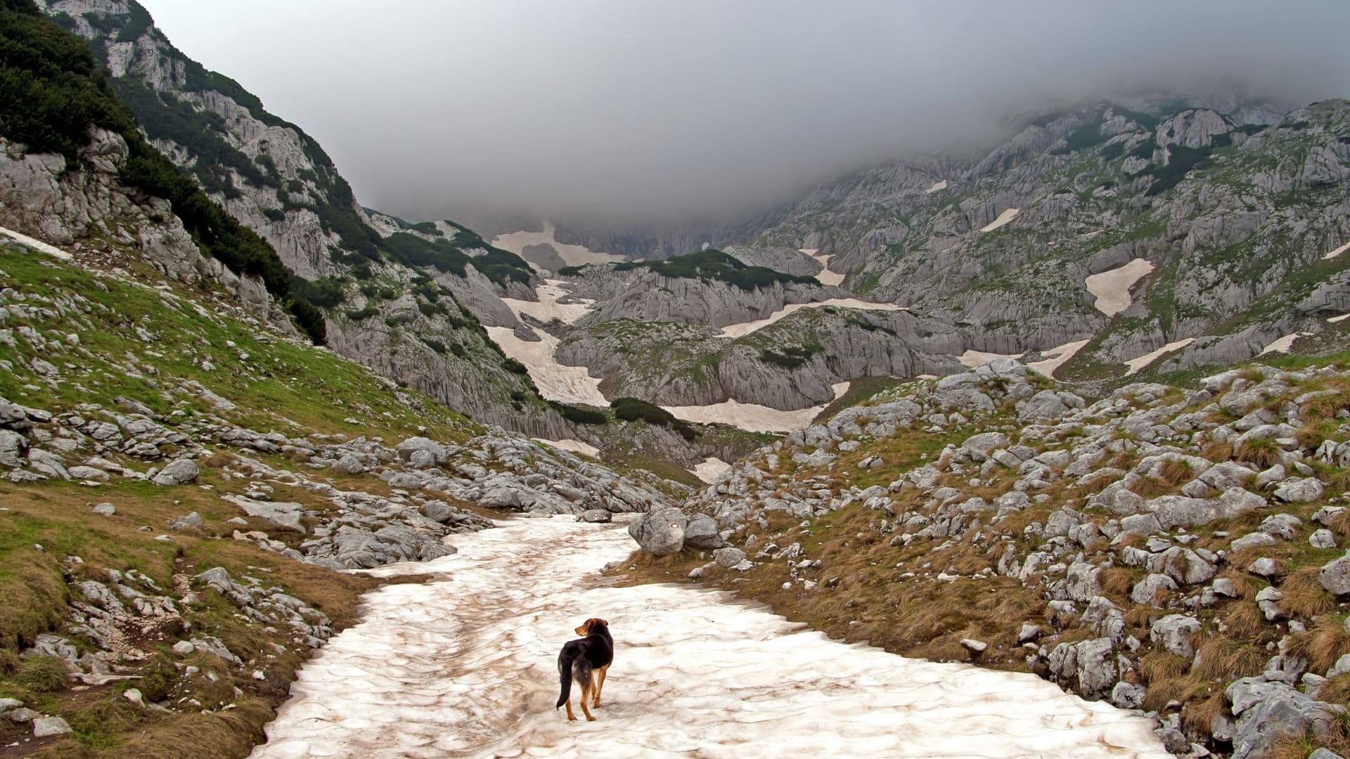 Durmitor 43