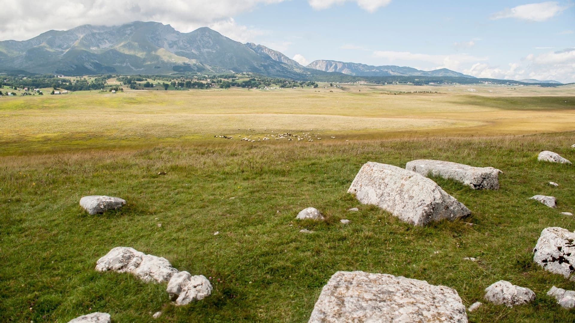 Durmitor 50