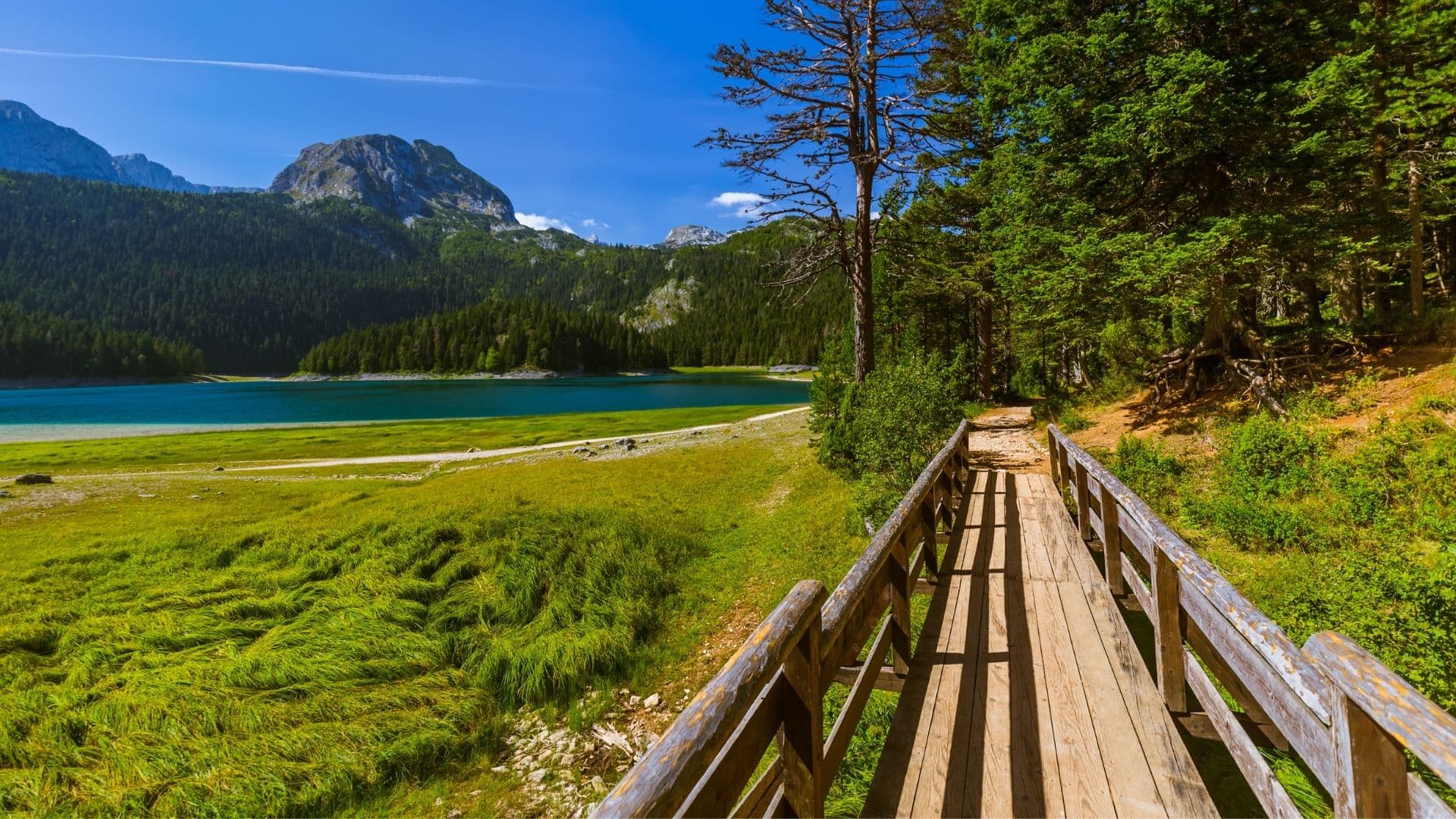 Durmitor 61