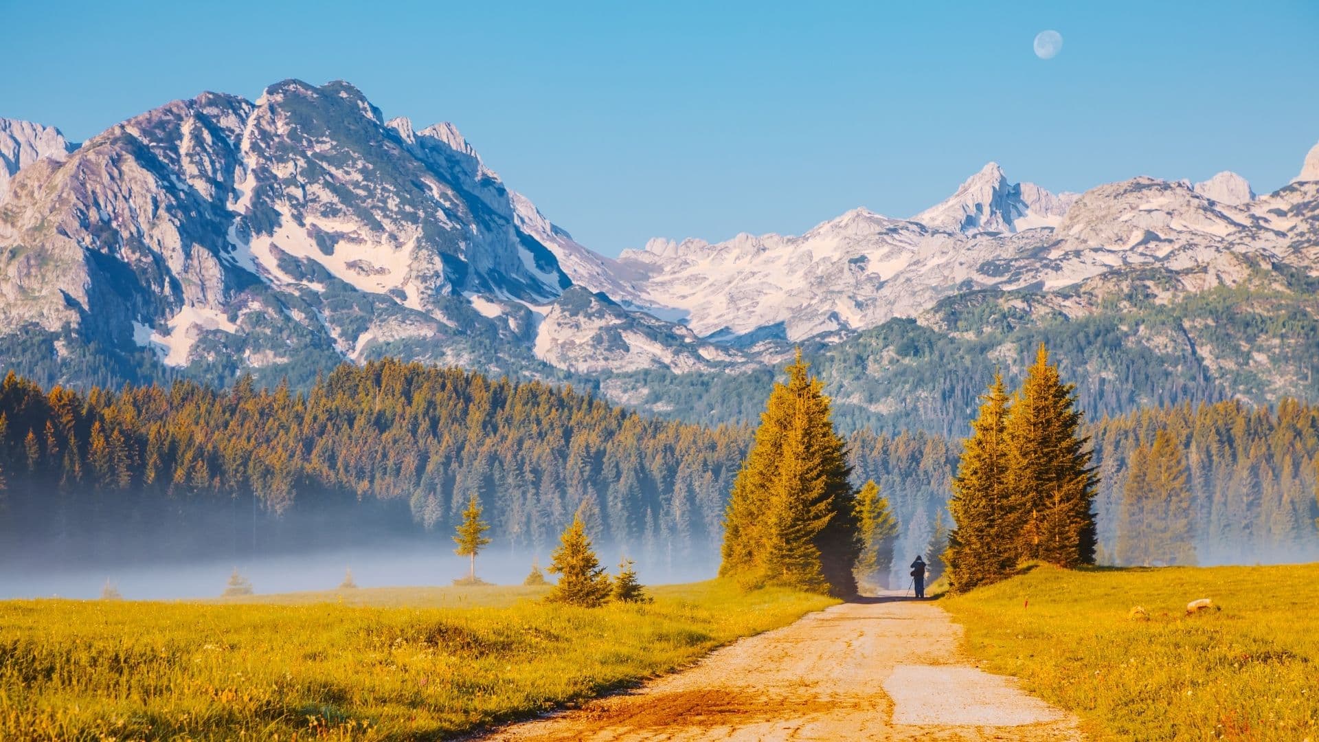 Durmitor 65