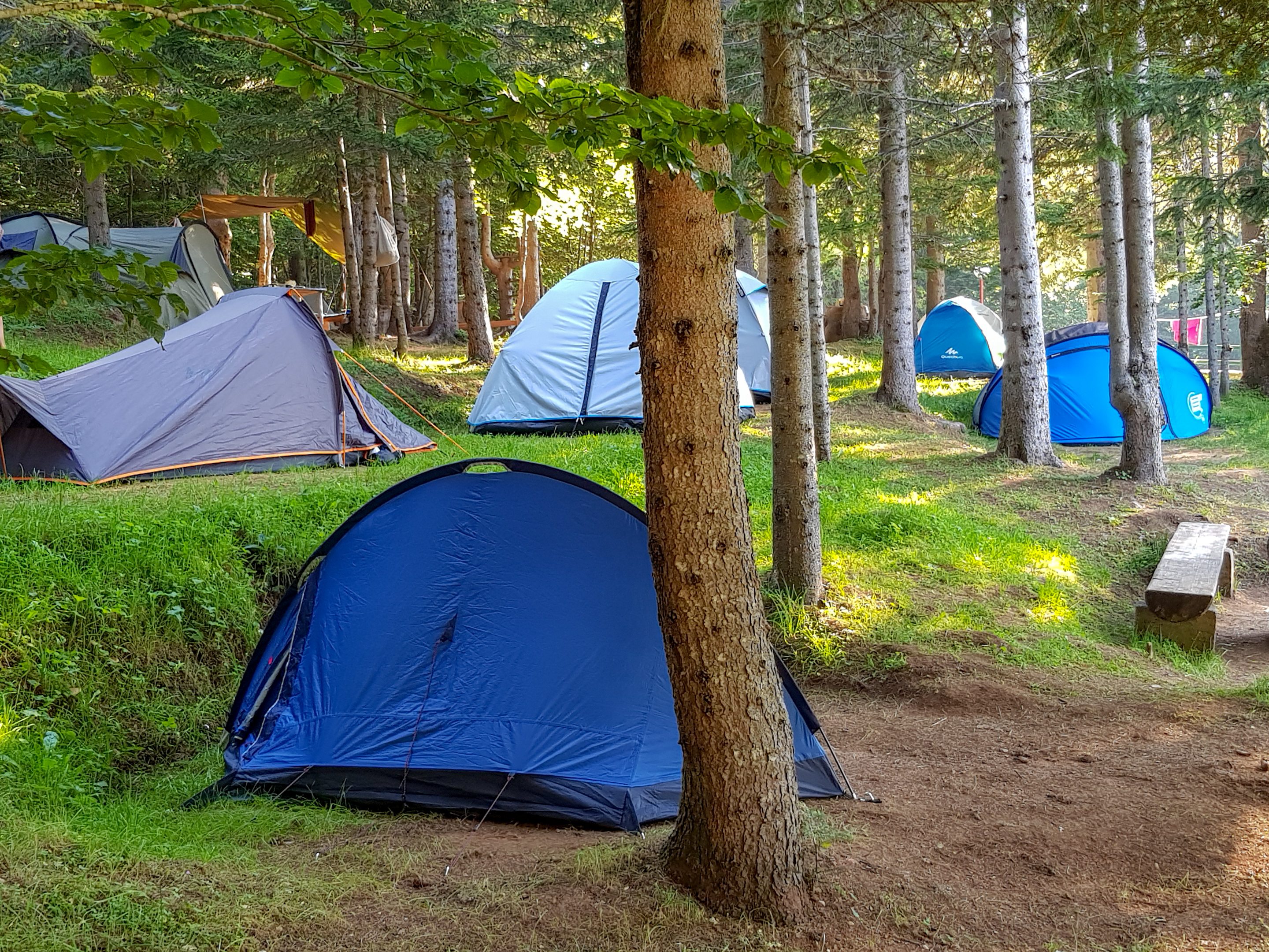 Kamp 7