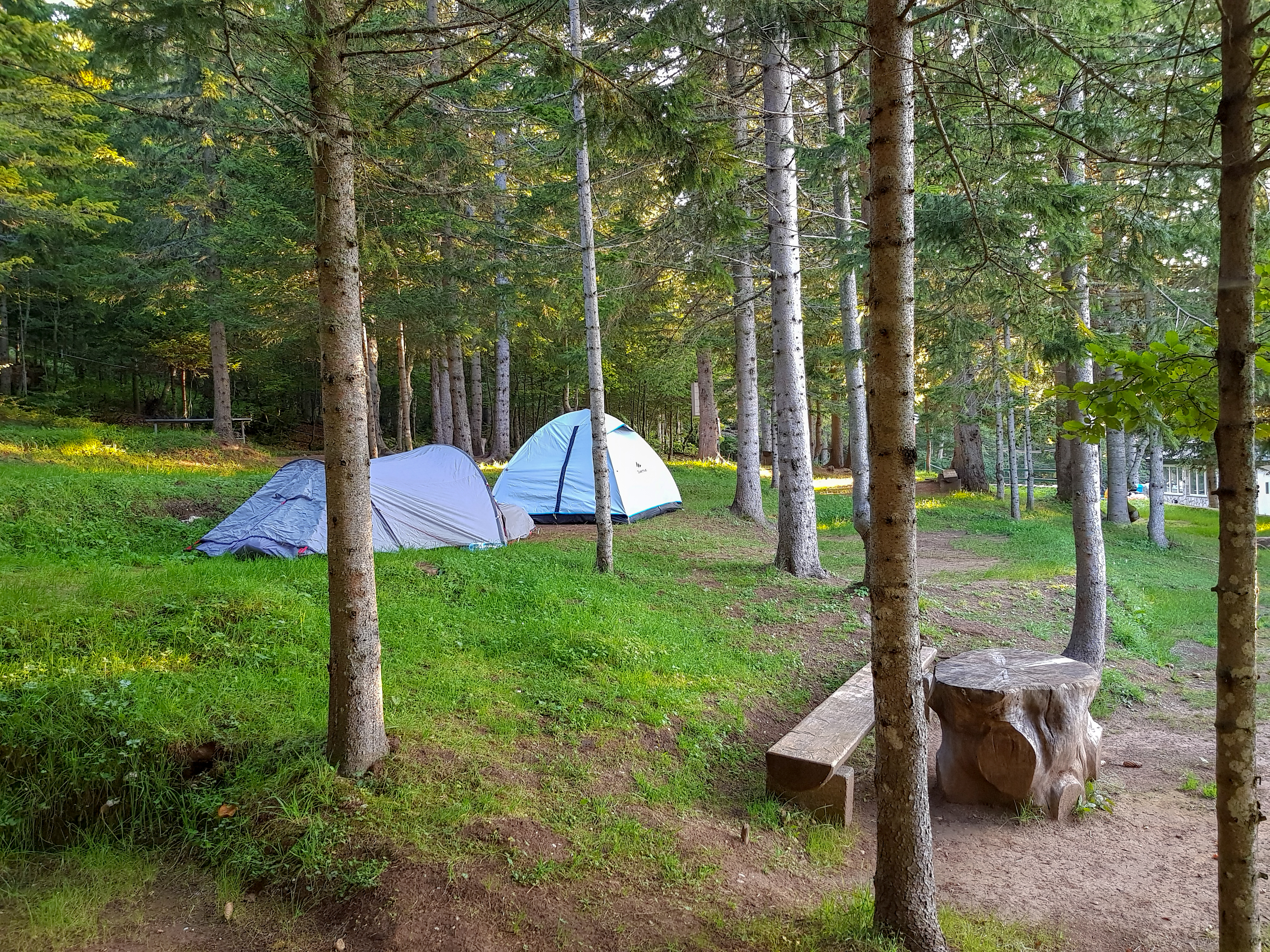 Kamp 8